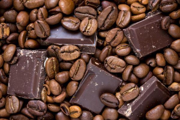 تولید کننده شکلات سیاه در تبریز